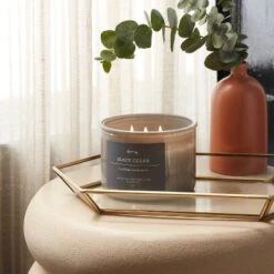 14oz Lidded Gray Glass Jar Crackling Wooden 3-Wick Candle With Paper Label Black Cedar - Threshold™