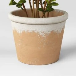Artificial Medium Boxwood In Terracotta Pot Green - Threshold™ Designed With Studio McGee -Threshold GUEST 3859bebc ef74 4067 b0a8 d2730a37750b