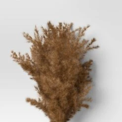 Pampas Grass Bundle - Threshold™ -Threshold GUEST 508108e8 4c81 4946 b427 ae9cac46da62