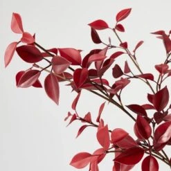 Eucalyptus Leaf Arrangement Burgundy - Threshold™ Designed With Studio McGee -Threshold GUEST a17c1855 0816 4405 996c 2cb03582a5c1