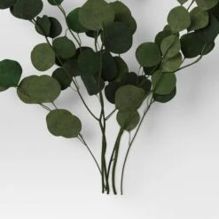 Preserved Eucalyptus Bundle - Threshold™ -Threshold GUEST c7dd4b87 faec 4ba4 94c4 c0953dd894d7