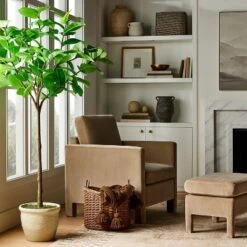 Ficus Tree - Threshold™ Designed With Studio McGee