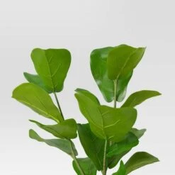 Large Fiddle Leaf Potted - Threshold™ -Threshold GUEST e47ba843 fa44 416e 8ad6 063b8c53586b