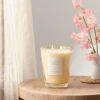 Colored Vase Glass With Dustcover Cashmere Vanilla Candle Ivory - Threshold™